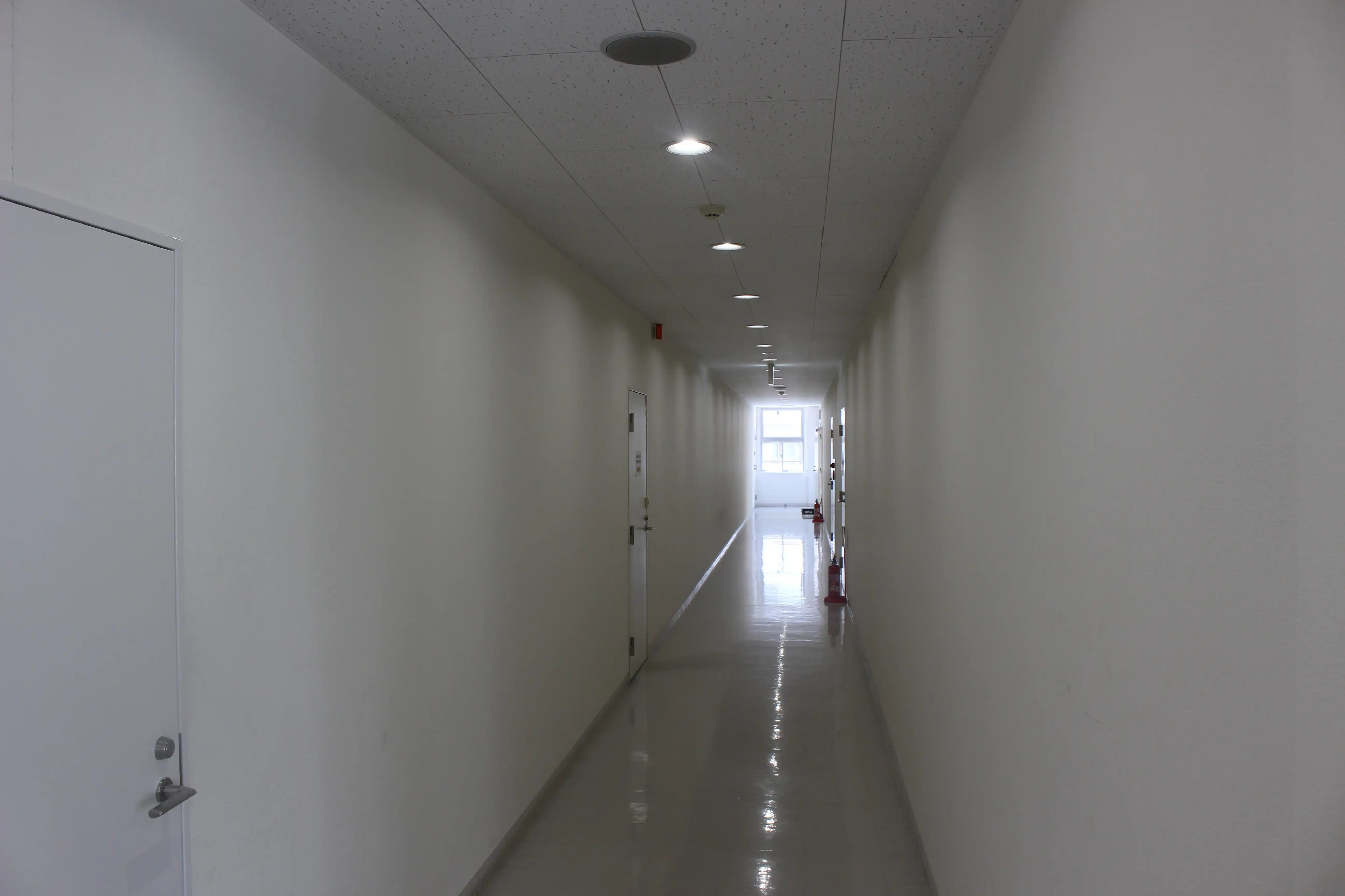 4階の白い廊下。一番奥の右側が完全個室パーソナルジム REVOIST 浦安駅前店の入り口です。